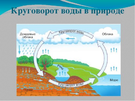 Круговорот воды в природе схема окружающий мир