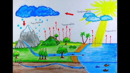 Круговорот воды рисунок легкий