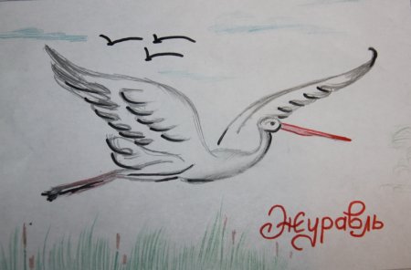 Журавль рисунок карандашом