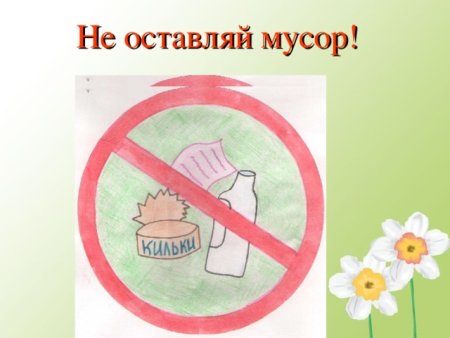 Знак нельзя мусорить