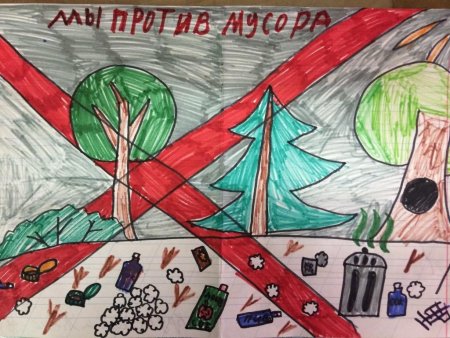 Не мусорить в лесу