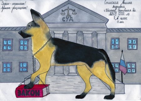 Адвокат глазами школьника рисунок