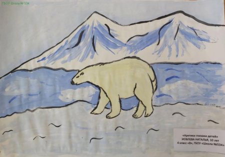 Арктика глазами детей