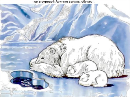 Арктические пустыни рисунок