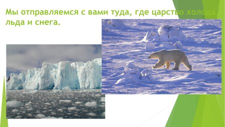 Зона Арктики 4 класс окружающий мир