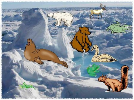 Арктические пустыни и тундра