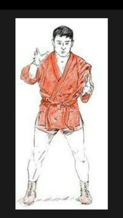 Стойка самбиста