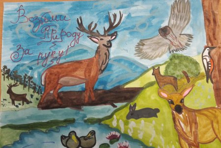 Заповедные уголки родного края рисунок