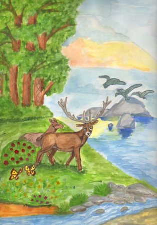 Охраняемые растения и животные рисунки