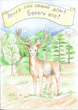 Природа родного края рисунки