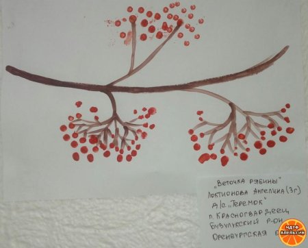 Веточка рябины ватными палочками