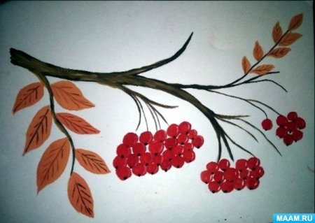 Ветка рябины» (рисование с натуры) (т.с.Комарова, стр.40)