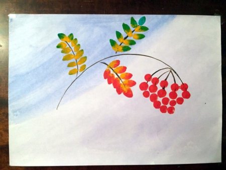 Ветка рябины рисование