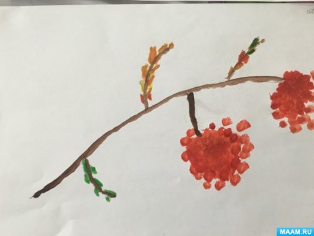 Рябина раскраска