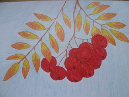 Рисование рябина