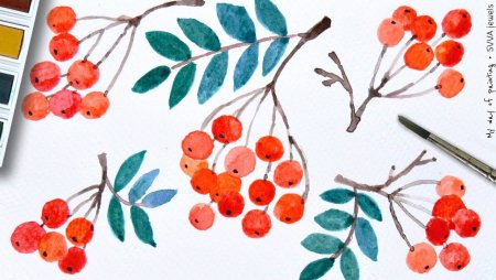 Веточка рябины раскраска для детей