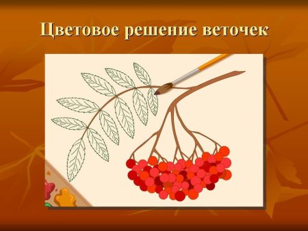 Ветка рябины рисунок