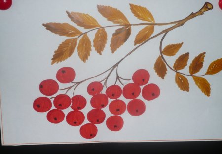 Кисть рябины рисунок
