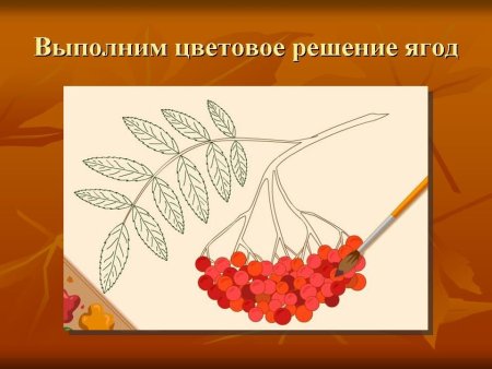Рябина раскраска для детей