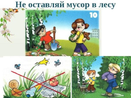 Не оставляй мусор в лесу