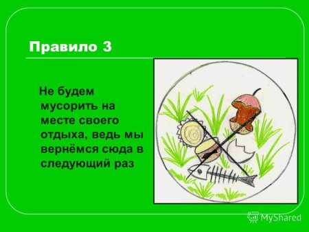 Правило не мусорить