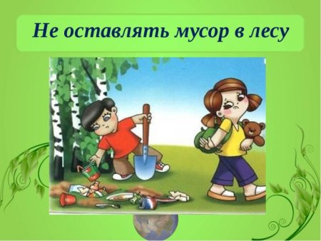 Не мусорить в лесу
