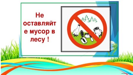 Знак не сорить в лесу