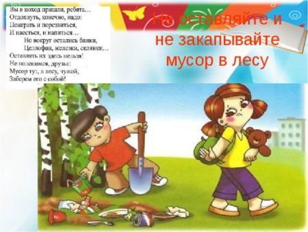 Почему нельзя мусорить в лесу для детей