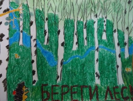Рисование на тему лес наше богатство
