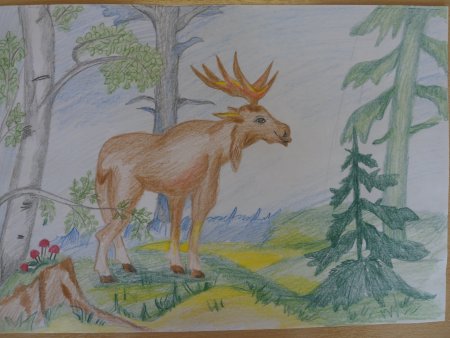 Лес наш главный интерес