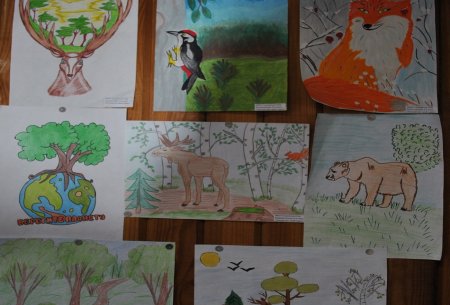 Конкурс лес наше богатство