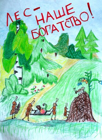 Лес наше богатство рисунки