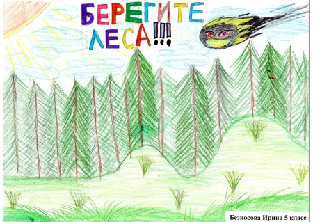 День леса рисунки