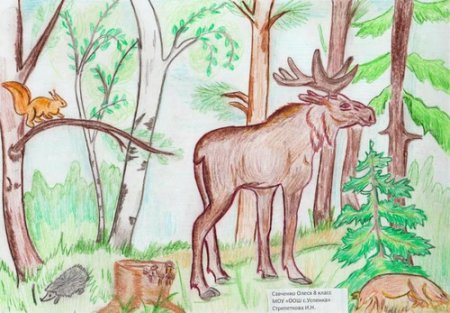 Рисунок на тему живи лес