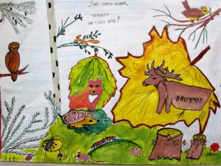 Красота леса рисунок