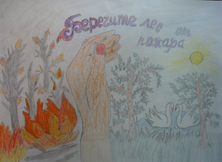 Листовки в защиту леса