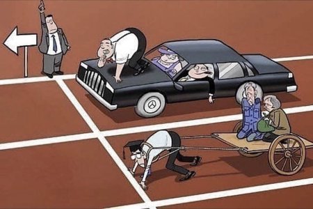 Социальное неравенство карикатура