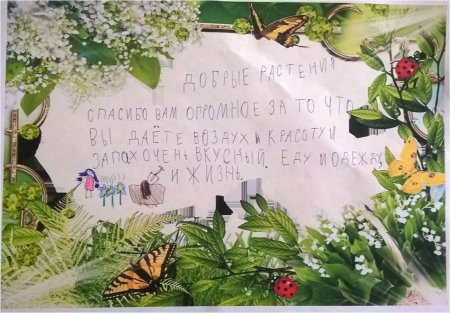 Благодарственное письмо растениям