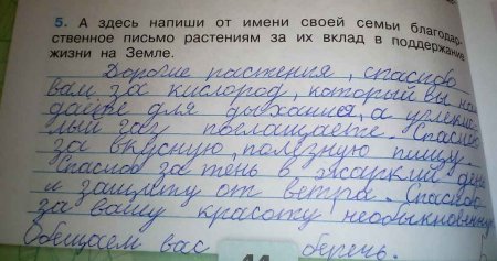 Окружающий мир 1 класс стр 30