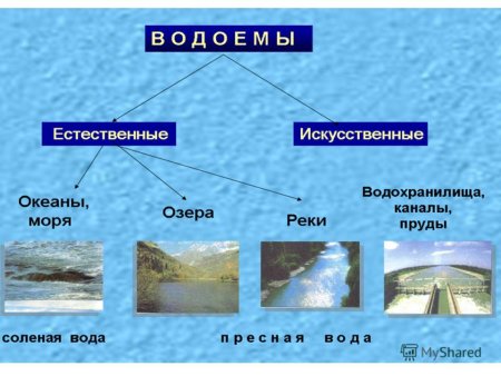 Искусственные и Естественные водоемы Краснодарского края