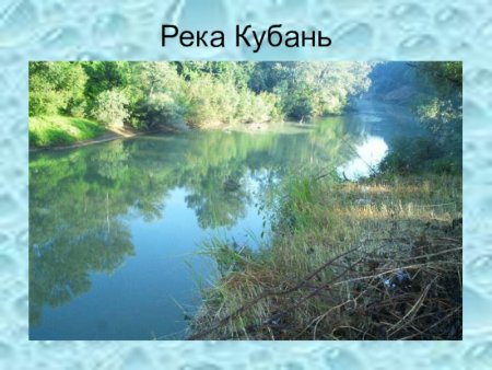 Водоемы Краснодарского края река Кубань