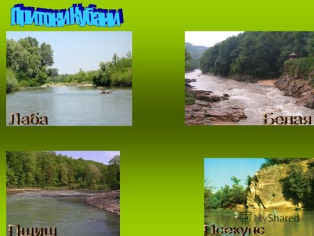Водоемы на Кубани названия