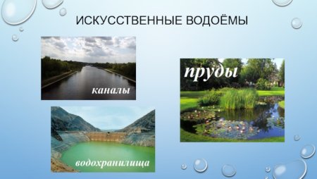 Искусственные водоемы окружающий мир