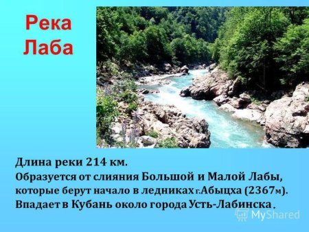 Водоёмы Краснодарского края река Лаба