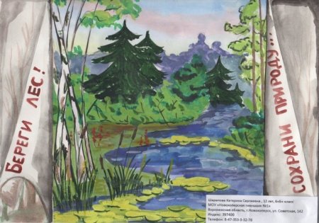 Рисунок на тему чистый лес