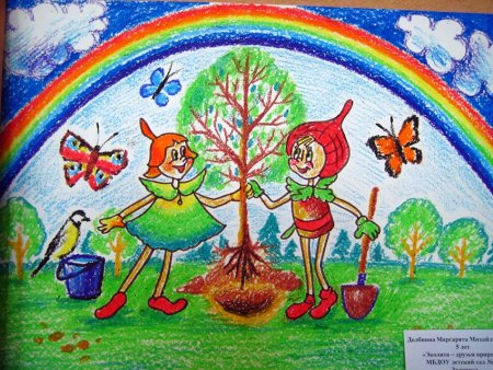 Эколята защитники природы описание