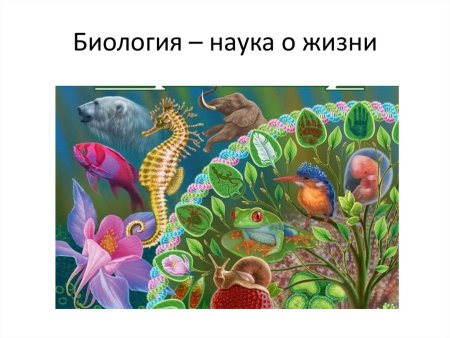 Науки биологии