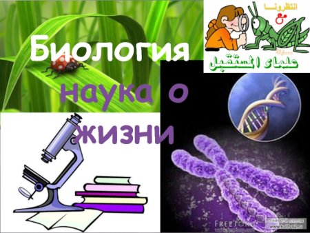 Биология картинки