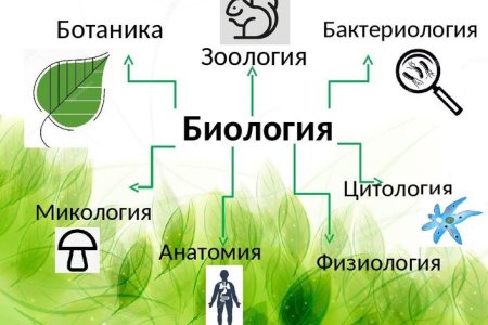 Схема наук о природе