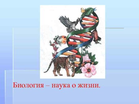 Биология наука о жизни